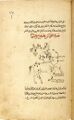 (al-Sufi, Kitāb suwar al-kawākib al-ṯābita) Paris BN Arabe 2491 1770 AD n.b. – similar, foreleg raised