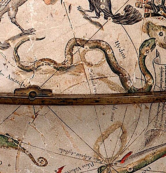 File:Hydrus Blaeu.JPG